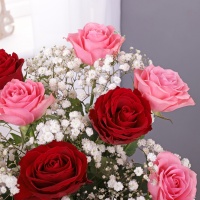 Dozen Red & Pink Roses