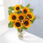 English Sunflowers