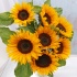 English Grown Sunflowers