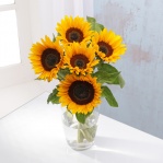 Sunflowers (5 Stems)