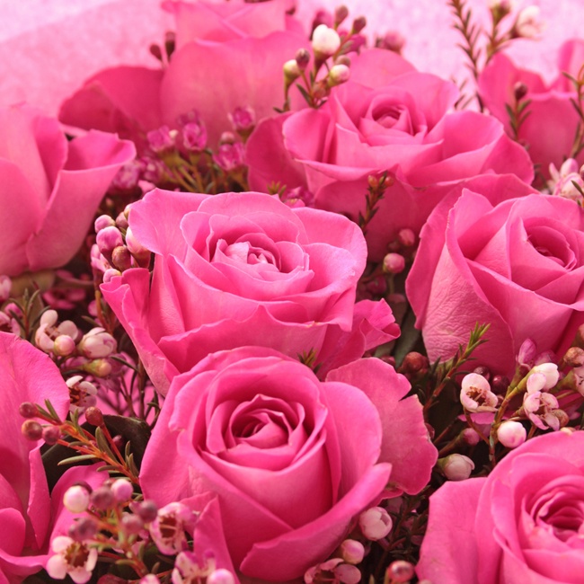 Pink Rose & Wax Flower Bouquet