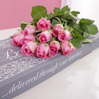Letterbox Pink Roses