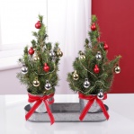 Mini Christmas Tree Duo & Decorations
