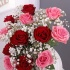 Dozen Red & Pink Roses