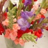 Gladioli Flowers