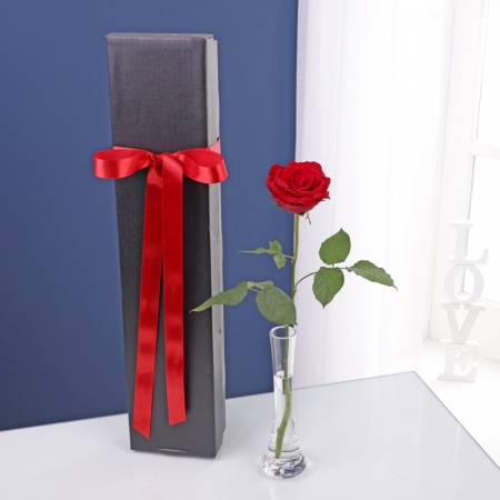 Single Rose Gift Box