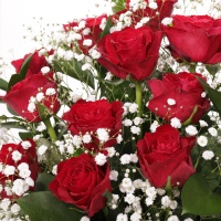 Valentine Red Rose Arrangement