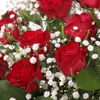 Valentine Red Rose Arrangement
