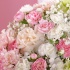 Classic Carnation Bouquet
